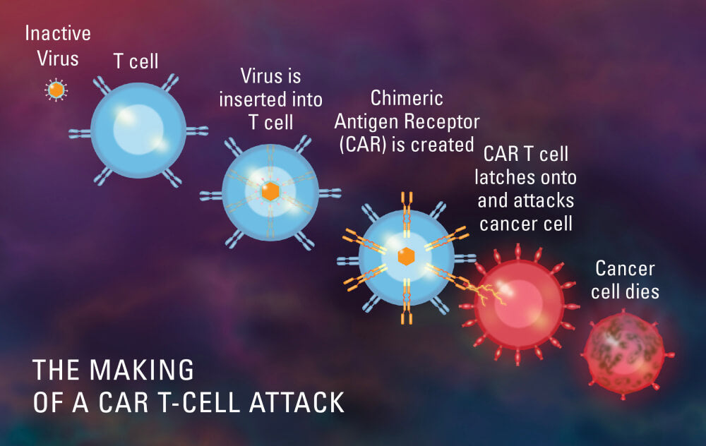 Diagram of a Car-T-Cell attack 